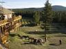 Spruce Hill