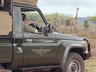 Mkhuze Game Reserve safari