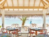 Grouper Grill