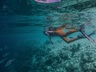 Snorkeling