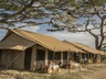 Serengeti Explorer Camp