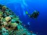 Diving center