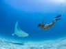 Diving center
