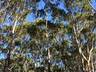 Jervis Bay