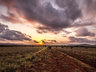 Rhino Sands Safari Camp