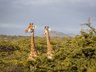 Rhino Sands Safari Camp