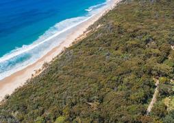 Rainbow Ocean Palms Resort