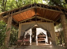 Mara Fig Tree Camp