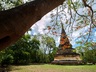 Wat Umong Grounds