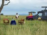 Safari picnic
