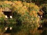 Tented camp