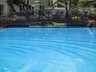 Outdoor pool and bridge