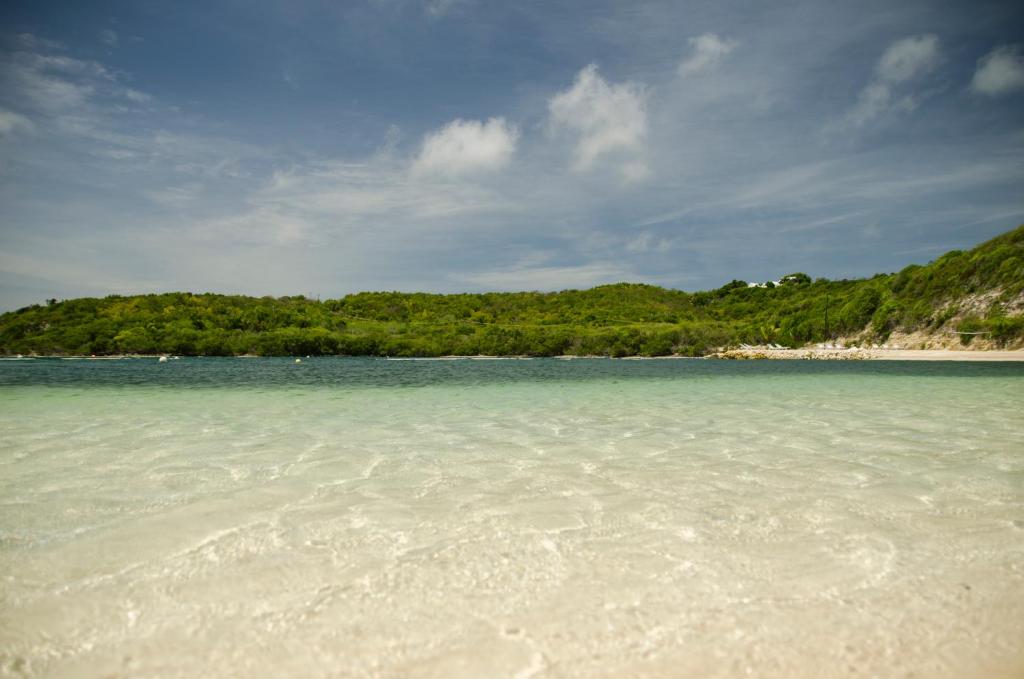 The Escape at Nonsuch Bay