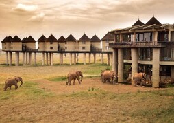 Salt Lick Safari Lodge