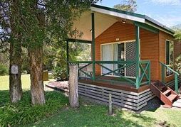 Gateway Lifestyle Lorikeet