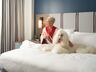 Pet-friendly amenities