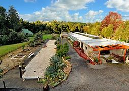 Dancing Trees Holiday Cottage