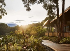 One&Only Gorilla's Nest