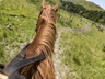 Horse riding