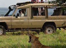 Sarova Mara Game Camp