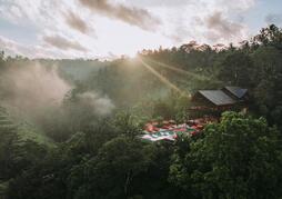 Buahan, A Banyan Tree Escape