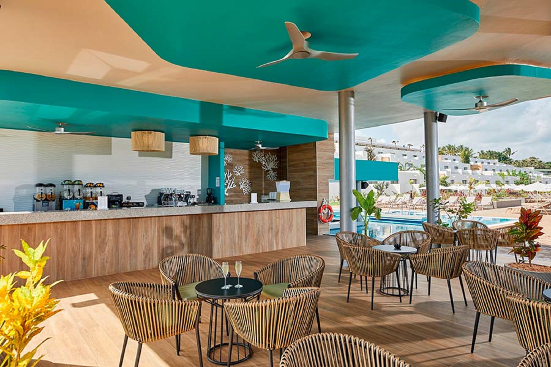 cafe