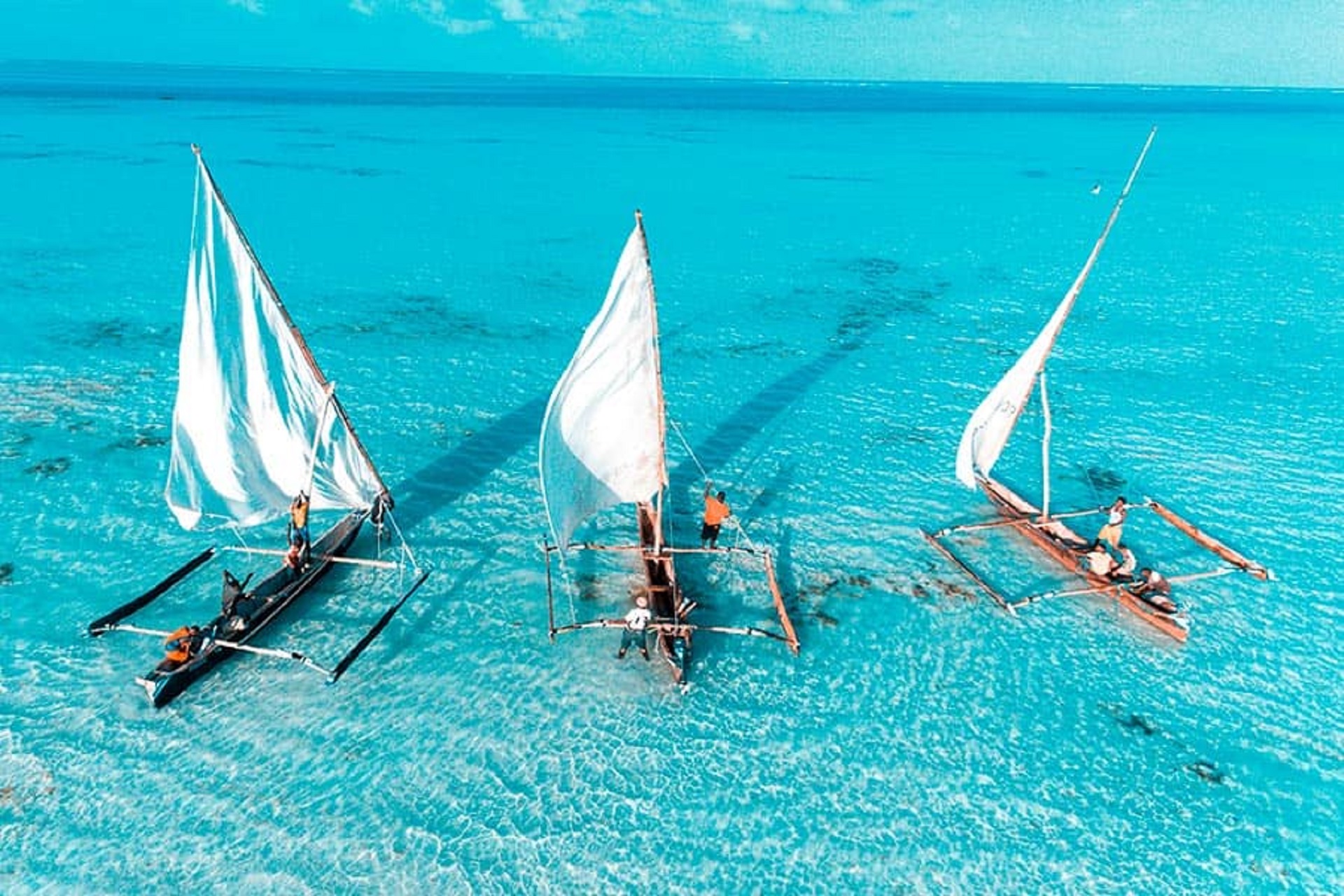 boats