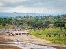 Water Hole