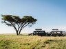 On safari
