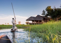 Moremi Crossing