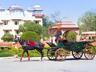 Horse and carriage