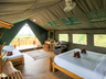 The Bush Camp