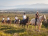 horse riding