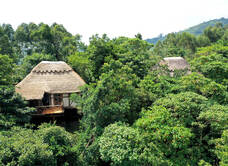 Papaya Lake Lodge