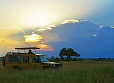 Ishasha Wilderness Camp - Queen Elizabeth National Park
