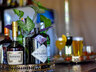 Drinks & Bar