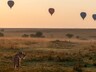 Hot Air Balloons