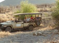 The Last Word Madikwe