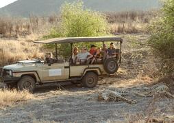 The Last Word Madikwe