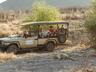 Safari
