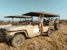 Safari