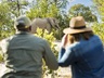 safari on foot