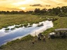 river view