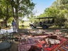 picnic