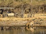 game drive 1