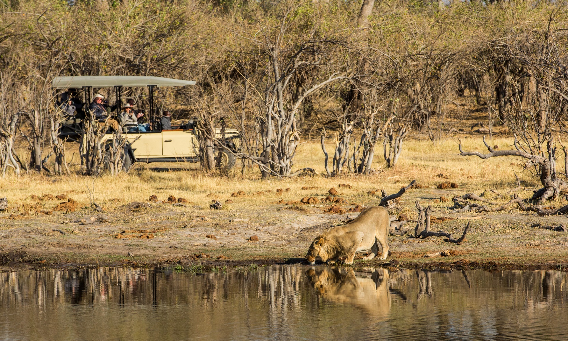 game drive 1