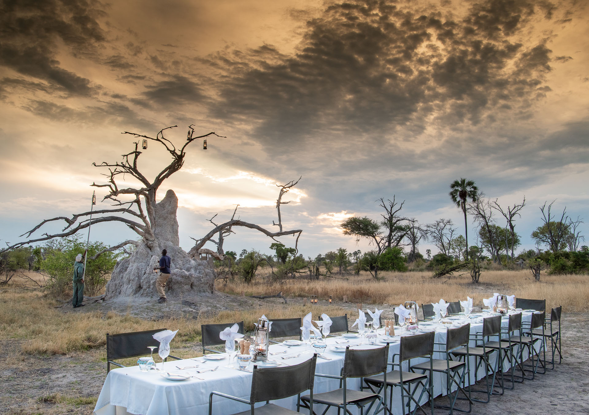evening dining 1