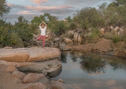 Motswari African Retreat & Walking safaris