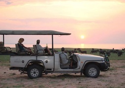 Changa Safari Camp