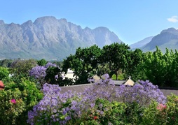 Franschhoek Boutique Hotel